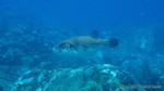 Thailand2013-0888.jpg