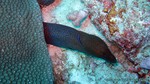 Thailand2013-0889.jpg