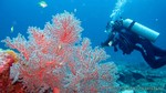 Thailand2013-0891.jpg