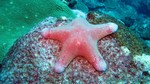 Thailand2013-0892.jpg