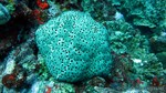 Thailand2013-0898.jpg
