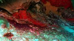Thailand2013-0900.jpg