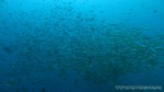 Thailand2013-0918.jpg