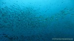 Thailand2013-0919.jpg