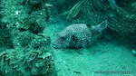 Thailand2013-0920.jpg