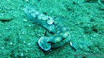 Thailand2013-0923.jpg