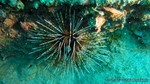 Thailand2013-0924.jpg
