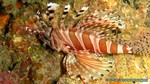 Thailand2013-0925.jpg