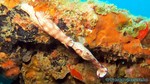 Thailand2013-0927.jpg