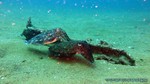 Thailand2013-0928.jpg