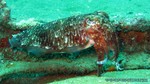 Thailand2013-0929.jpg