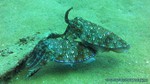 Thailand2013-0931.jpg