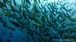Thailand2013-0933.jpg