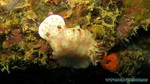 Thailand2013-0934.jpg