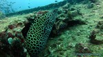 Thailand2013-0935.jpg