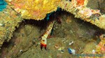 Thailand2013-0936.jpg