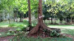 Thailand2013-0959.jpg