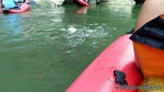 Thailand2013-0964.jpg