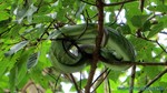 Thailand2013-0969.jpg