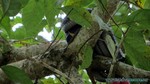 Thailand2013-0975.jpg
