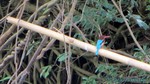 Thailand2013-0976.jpg