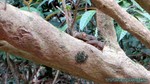 Thailand2013-0980.jpg