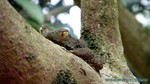 Thailand2013-0981.jpg