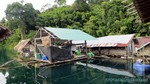 Thailand2013-1016.jpg