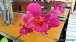 Thailand2013-1021.jpg