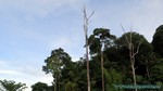 Thailand2013-1026.jpg