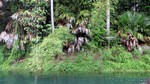 Thailand2013-1034.jpg
