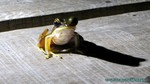 Thailand2013-1040.jpg