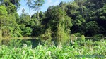 Thailand2013-1070.jpg