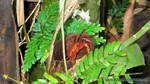 Thailand2013-1072.jpg