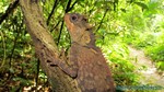 Thailand2013-1074.jpg