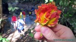 Thailand2013-1080.jpg