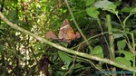 Thailand2013-1087.jpg