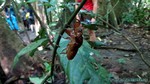 Thailand2013-1089.jpg