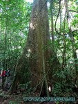 Thailand2013-1090.jpg