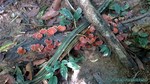 Thailand2013-1091.jpg