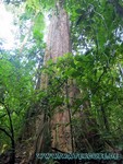 Thailand2013-1092.jpg