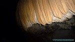 Thailand2013-1093.jpg