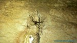 Thailand2013-1096.jpg