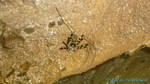 Thailand2013-1100.jpg