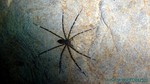 Thailand2013-1101.jpg