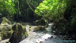 Thailand2013-1114.jpg