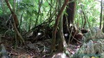 Thailand2013-1117.jpg