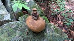 Thailand2013-1119.jpg