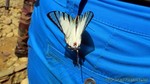 Thailand2013-1125.jpg