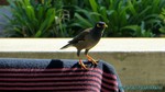 Thailand2013-1170.jpg